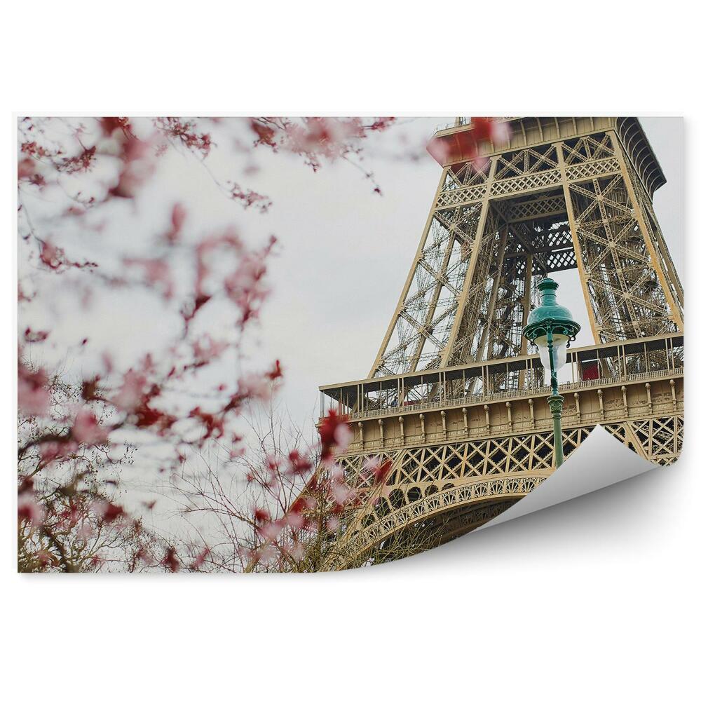 Fototapeta kwiat wiśni wieża Eiffla lampy drzewa Paryż Francja