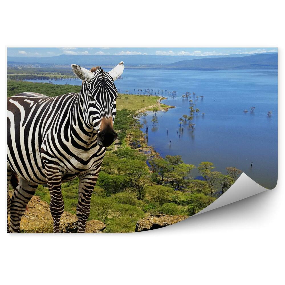Okleina ścienna Zwierzę kenia zebra park narodowy