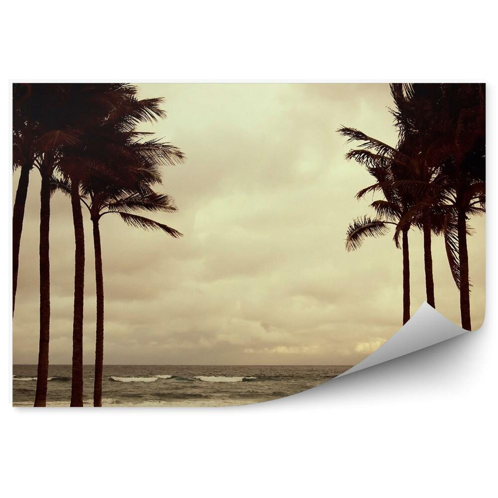 Fototapeta na ścianę Woda morze fale wiatr palmy rośliny tropiki