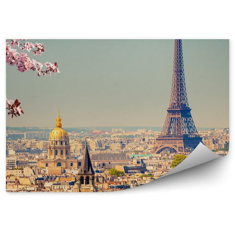 Fototapeta samoprzylepna Kwiaty kwitnące na drzewie panorama miasta paryż