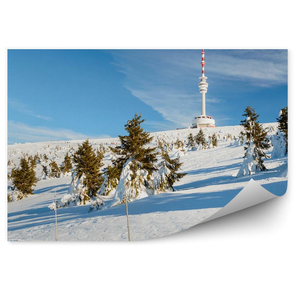 Fototapeta Ośnieżona góra choinki sudety zima