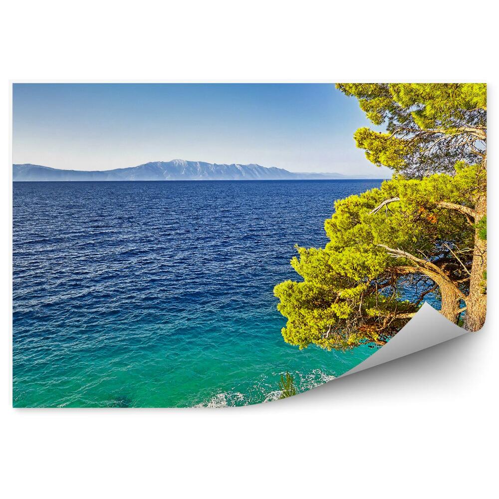 Fototapeta na ścianę Morze Śródziemne wyspy rośliny drzewa