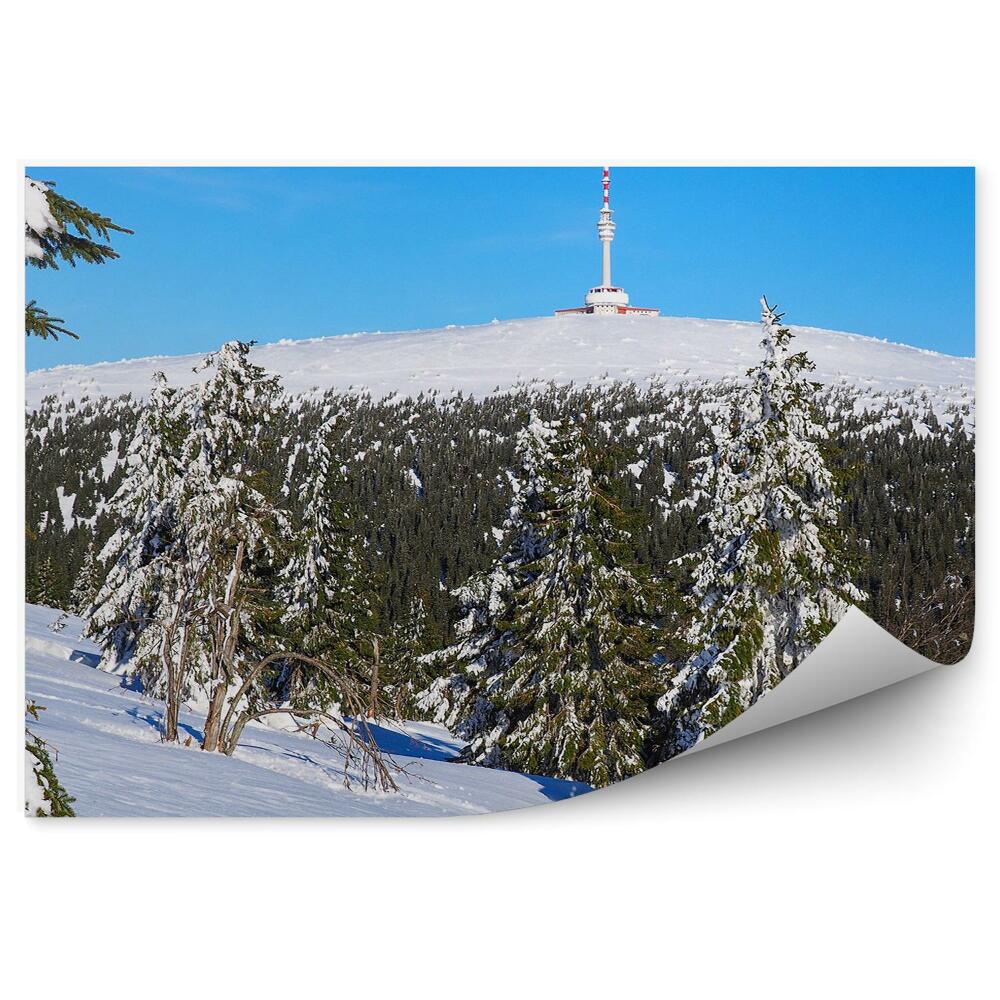 Fototapeta Zimowy las śnieg góra sudety krajobraz