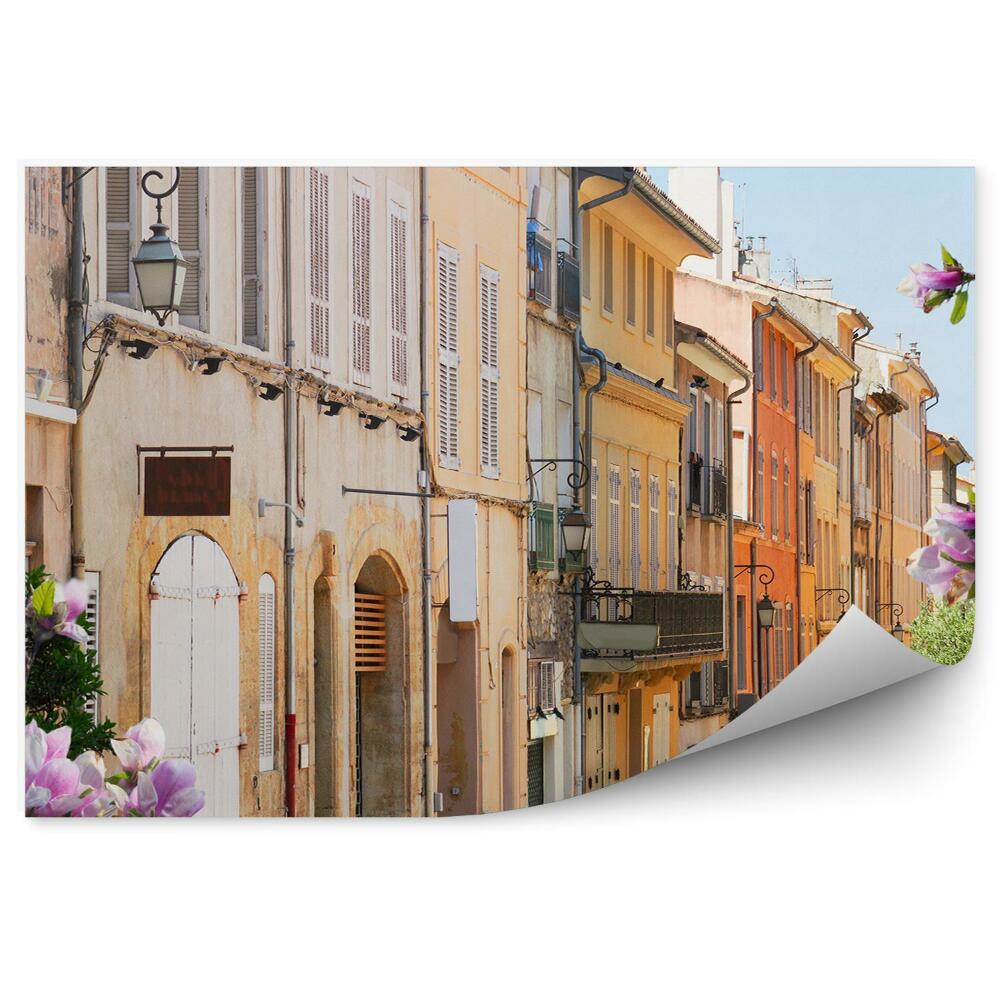 Fototapeta na ścianę stare miasto magnolie alejka Prowansja Francja