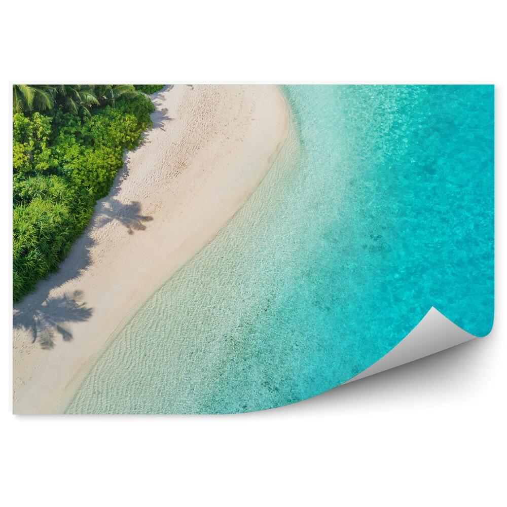 Fototapeta Tropikalna plaża malediwy palmy woda