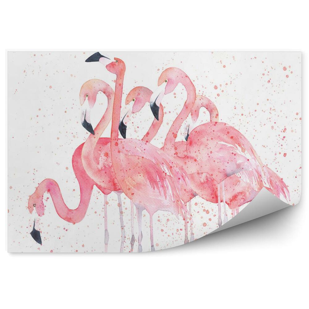 Fototapeta Flamingi malowane akwarelą