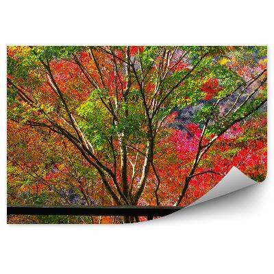 Fototapeta Jesienne kolorowe drzewa za oknem