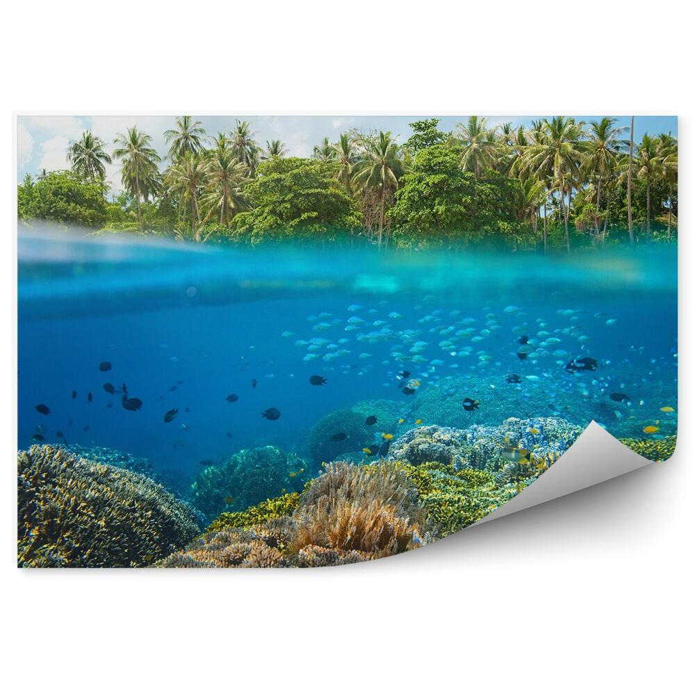 Okleina ścienna Rybki rafa koralowa tropiki palmy linia wody