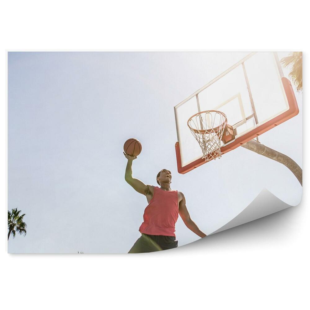 Fototapeta samoprzylepna Koszykarz kosz piłka palmy niebo budynek los angeles