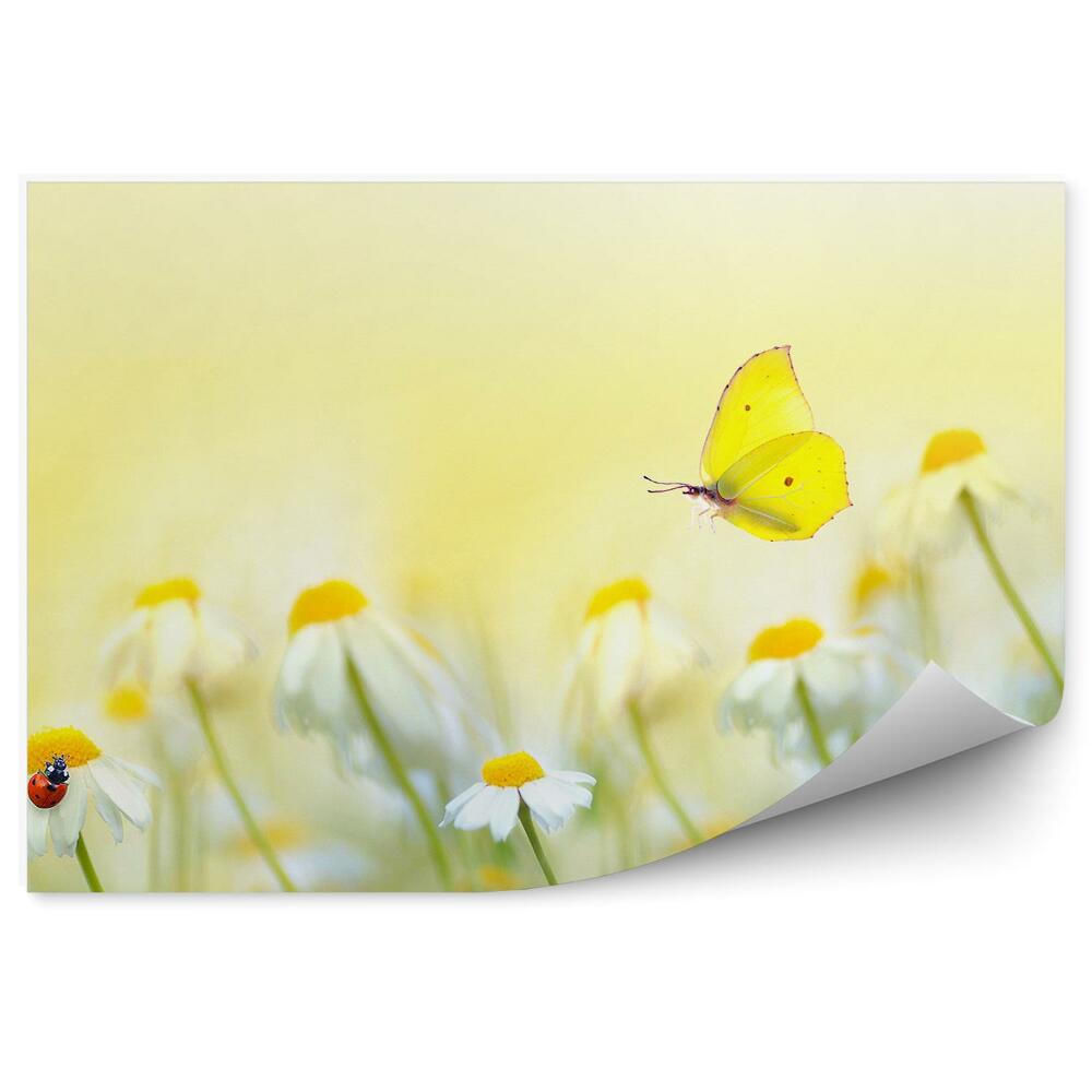 Okleina ścienna Kwiaty słoneczna łąka latem biedronka motyl