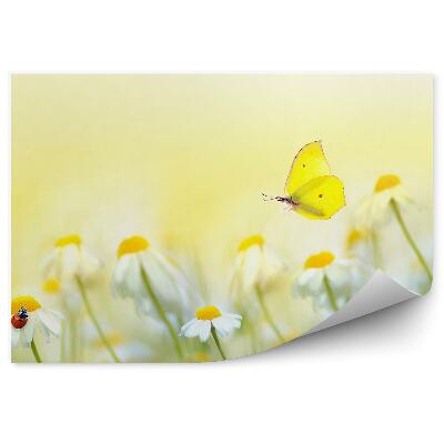 Okleina ścienna Kwiaty słoneczna łąka latem biedronka motyl