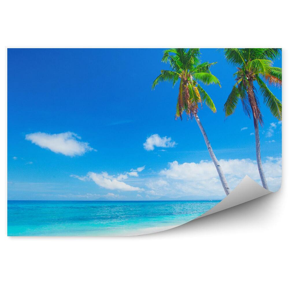 Fototapeta na ścianę Tropikalna plaża piaszczysta palmy woda