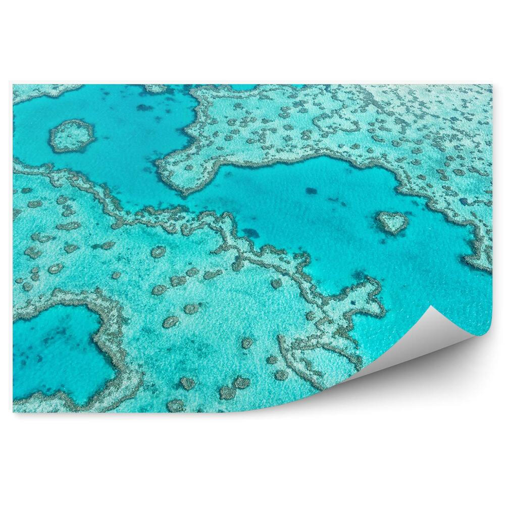 Okleina ścienna Widok z lotu ptaka rafy koralowej błękit