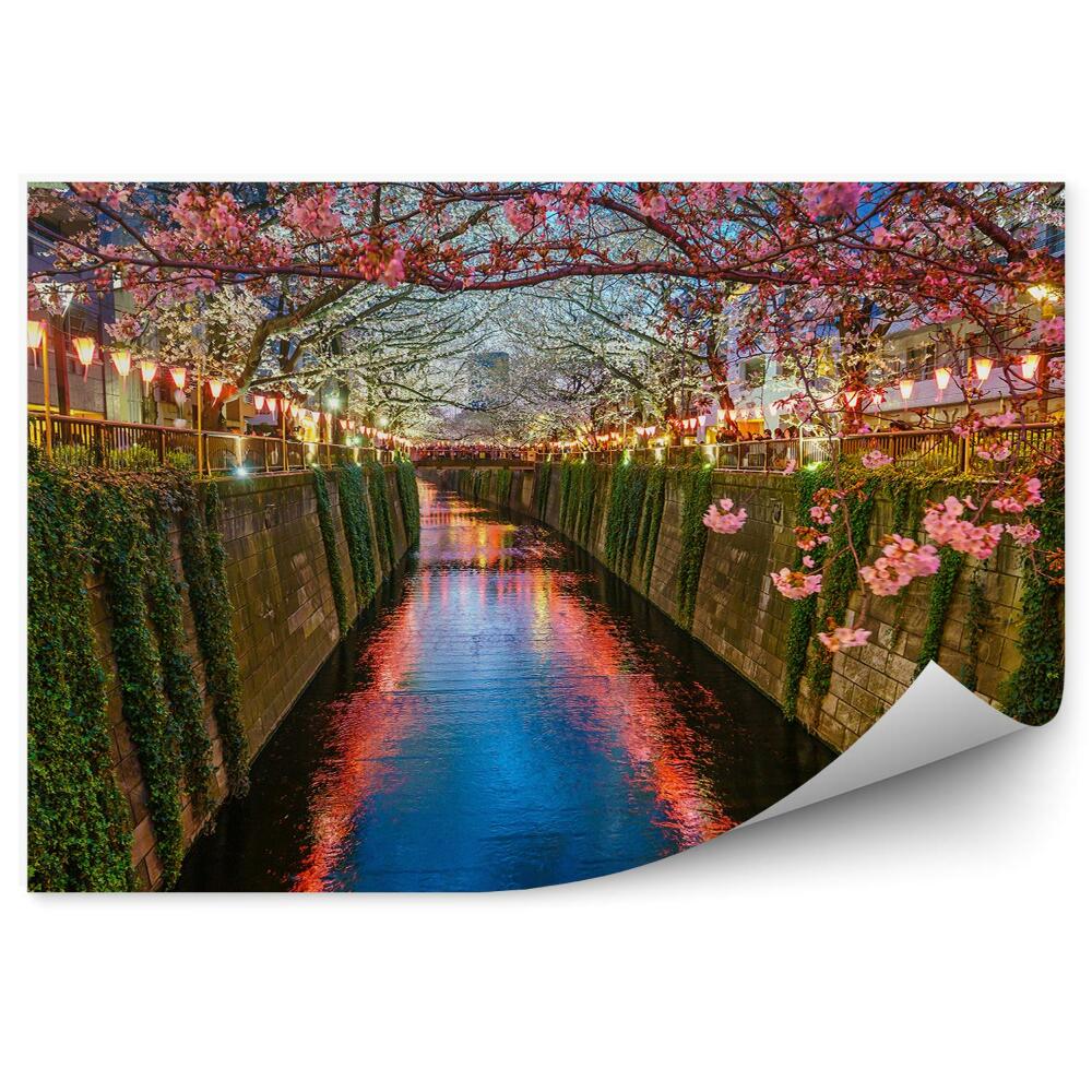 Okleina na ścianę kwiaty wiśni drzewo bluszcz lampiony mur rzeka Japonia Tokio