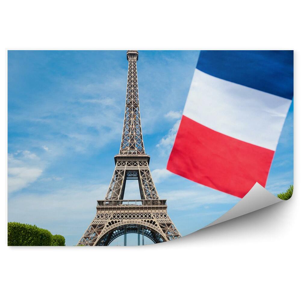 Fototapeta samoprzylepna Francuska flaga turyści park wieża eiffla