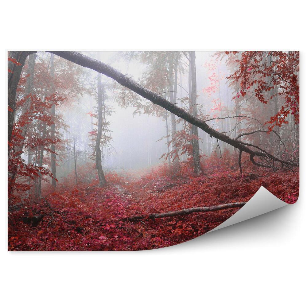 Okleina ścienna Czerwony liściasty las mgła