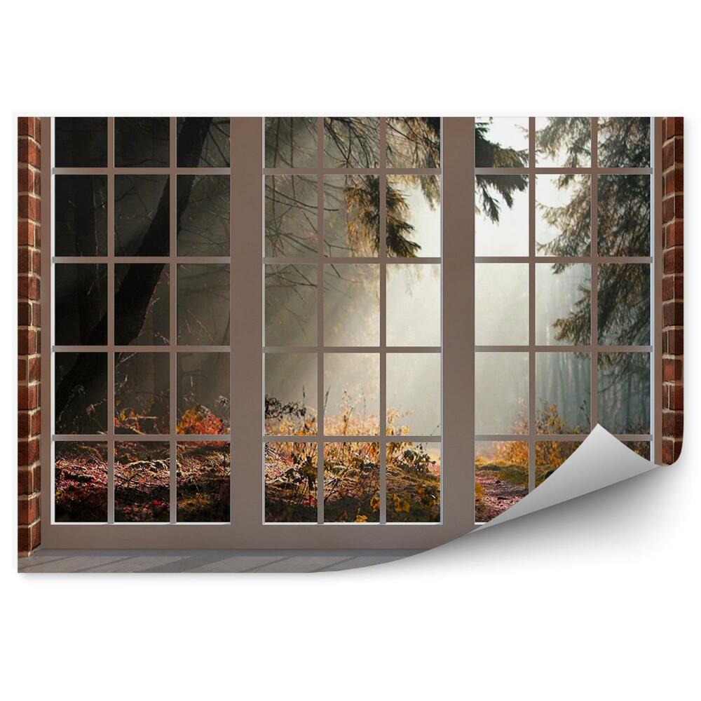 Fototapeta na ścianę Jesienny ciemny las blask światła okno