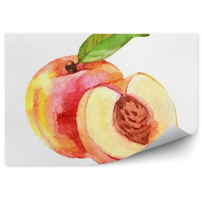 Fototapeta Malowana brzoskwinia rysunek owoc pestka połówka