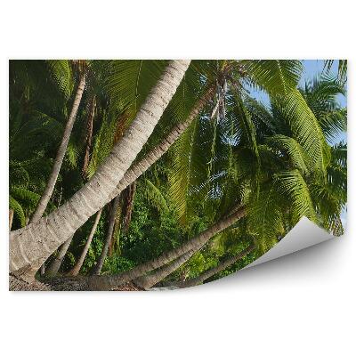 Okleina ścienna Palmy plaża ocean niebo