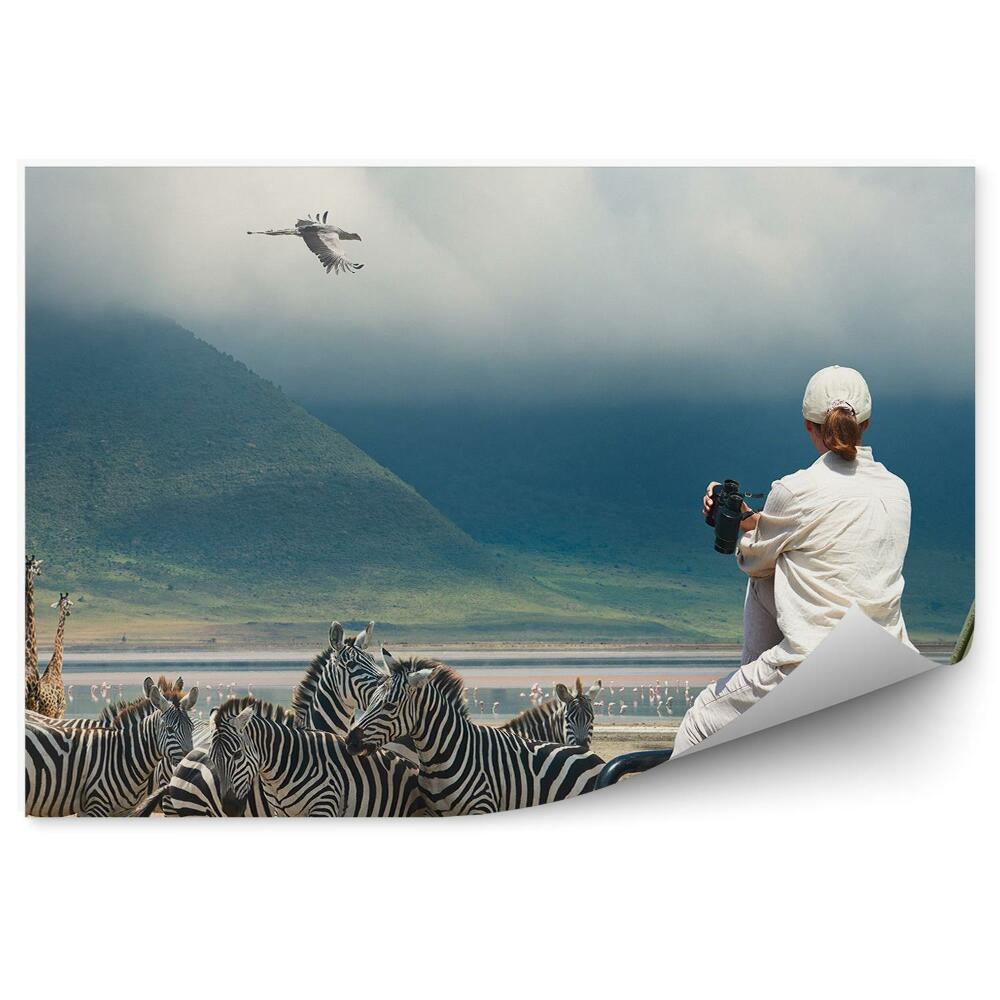 Okleina ścienna Zebry żyrafy ptaki góry turystka safari