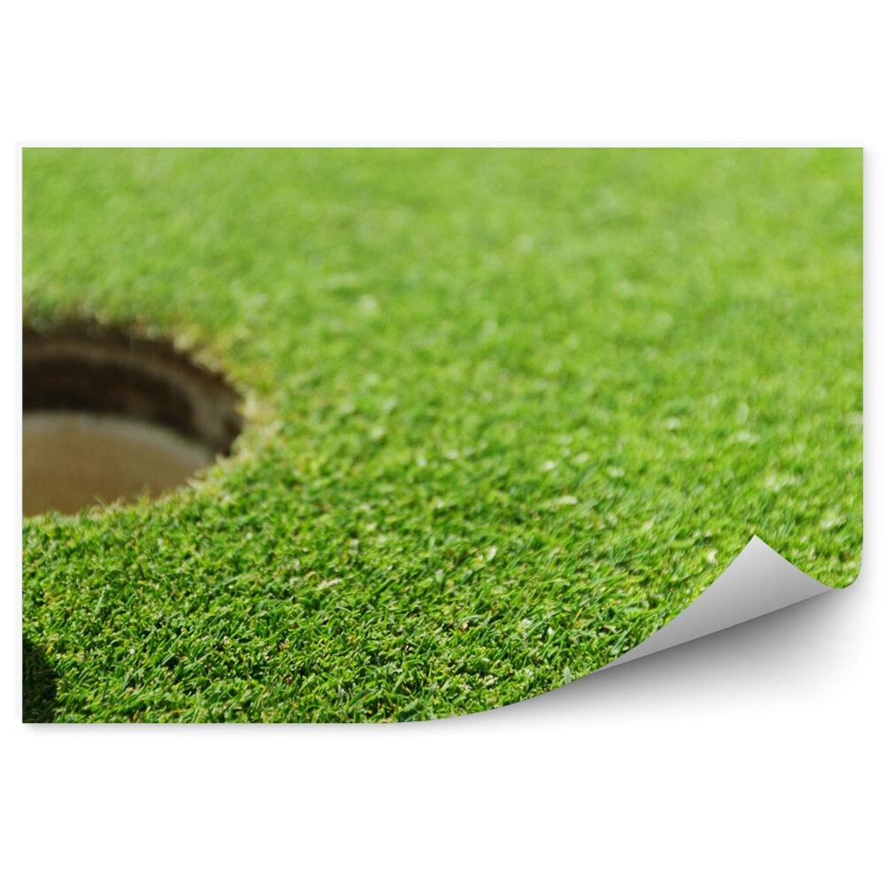 Fototapeta samoprzylepna Dołek piłka golfowa trawa