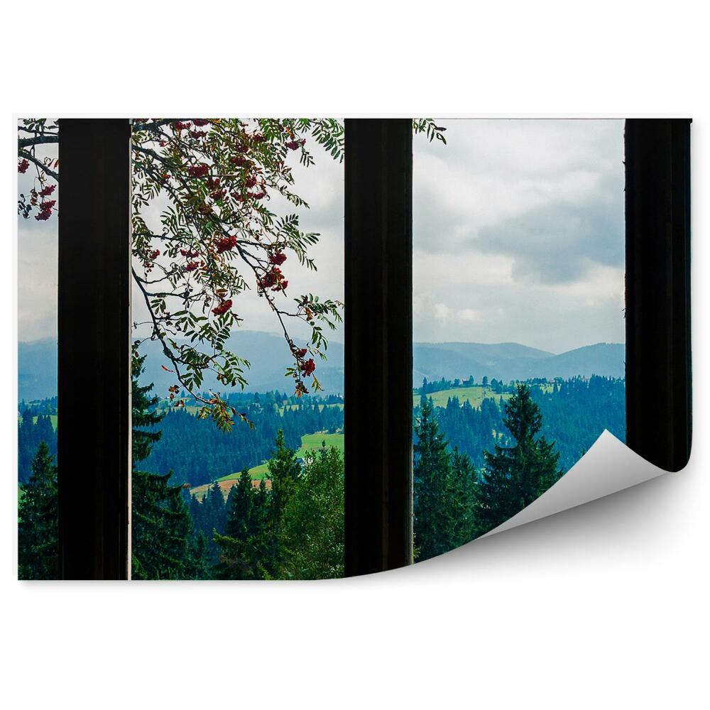 Fototapeta Okno z widokiem na las góry jarzębina