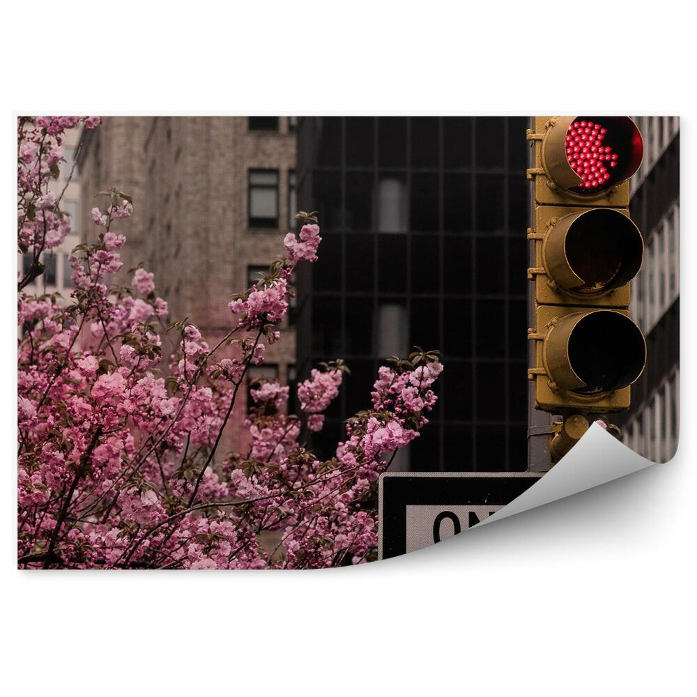 Fototapeta wieżowce kwiaty wiśni drzewa znaki drogowe Nowy Jork