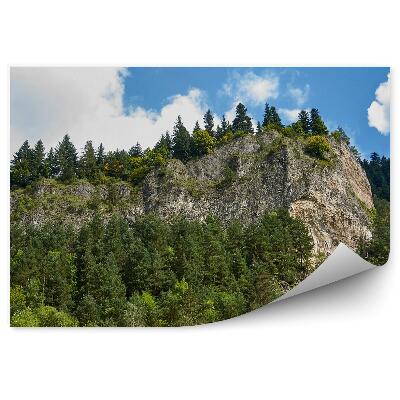 Okleina na ścianę Sokolica pieniny szczyt góry zachmurzone niebo