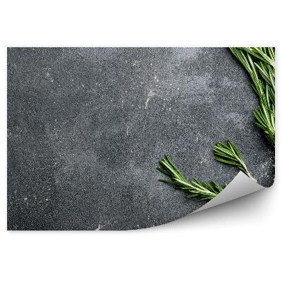 Fototapeta samoprzylepna Rozmaryn na ciemnym betonowym podłożu