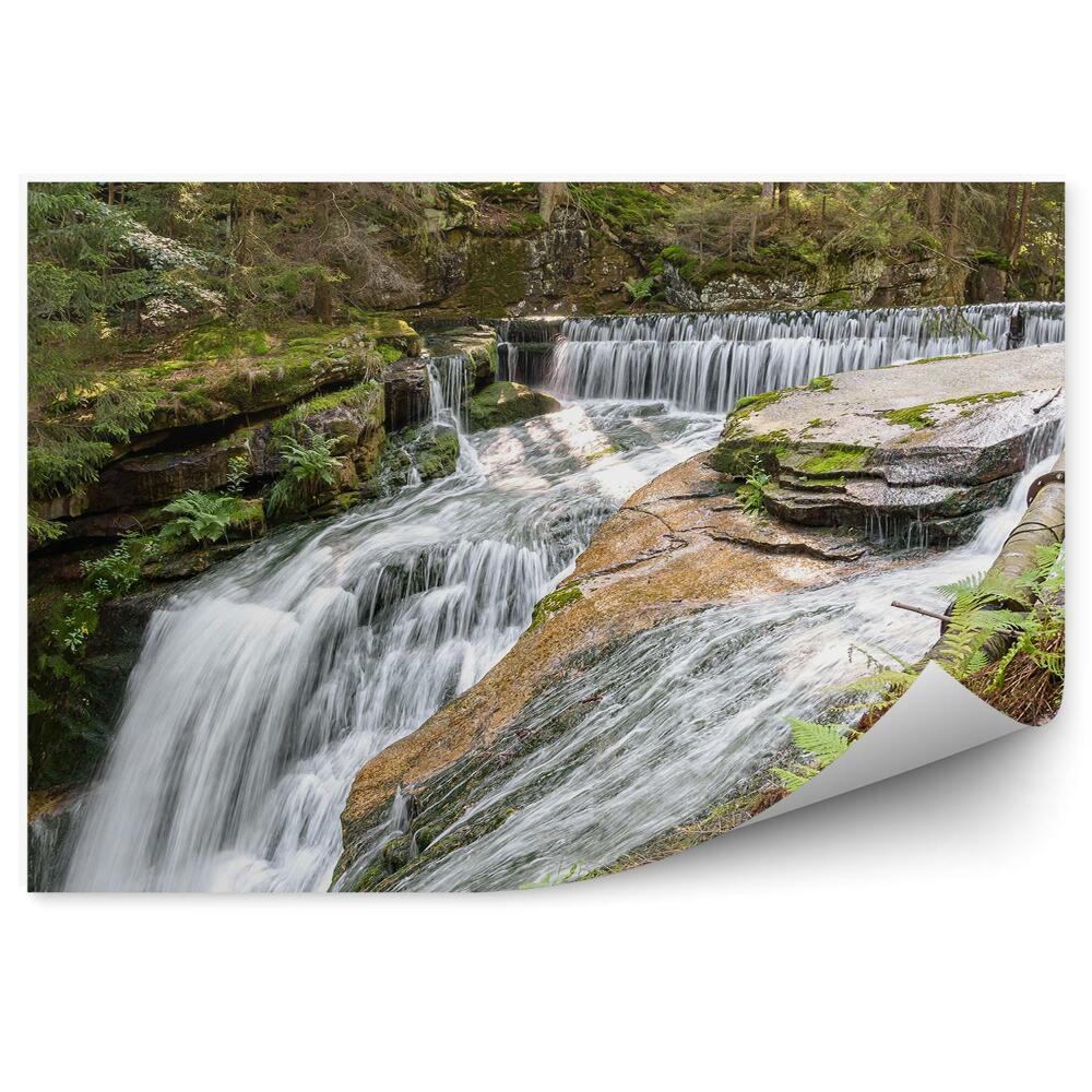Fototapeta Wodospad skały drzewa choinki natura