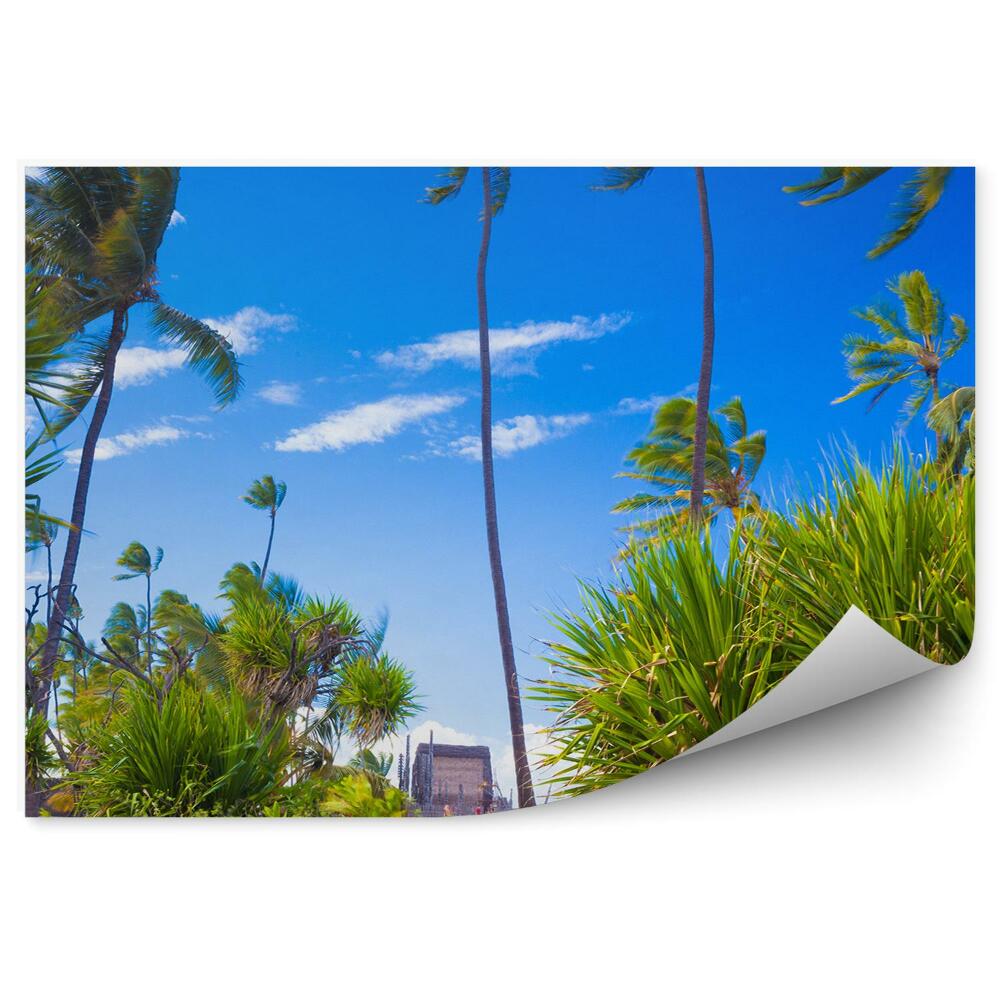Fototapeta palmy rośliny ocean plaża kamienie niebo chmury Hawaje