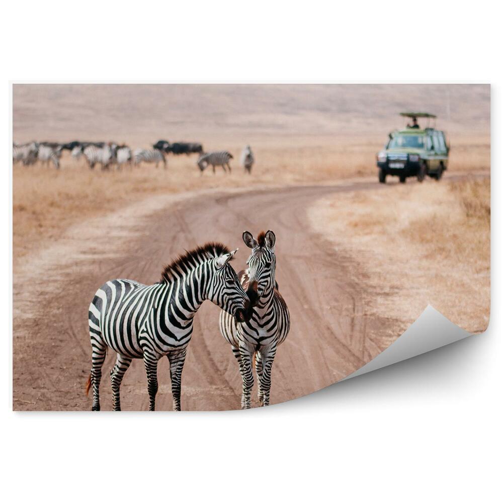 Okleina ścienna Zebry droga samochód zwierzęta safari