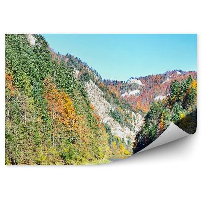 Okleina na ścianę Czarny dunajec pieniny jesienny las