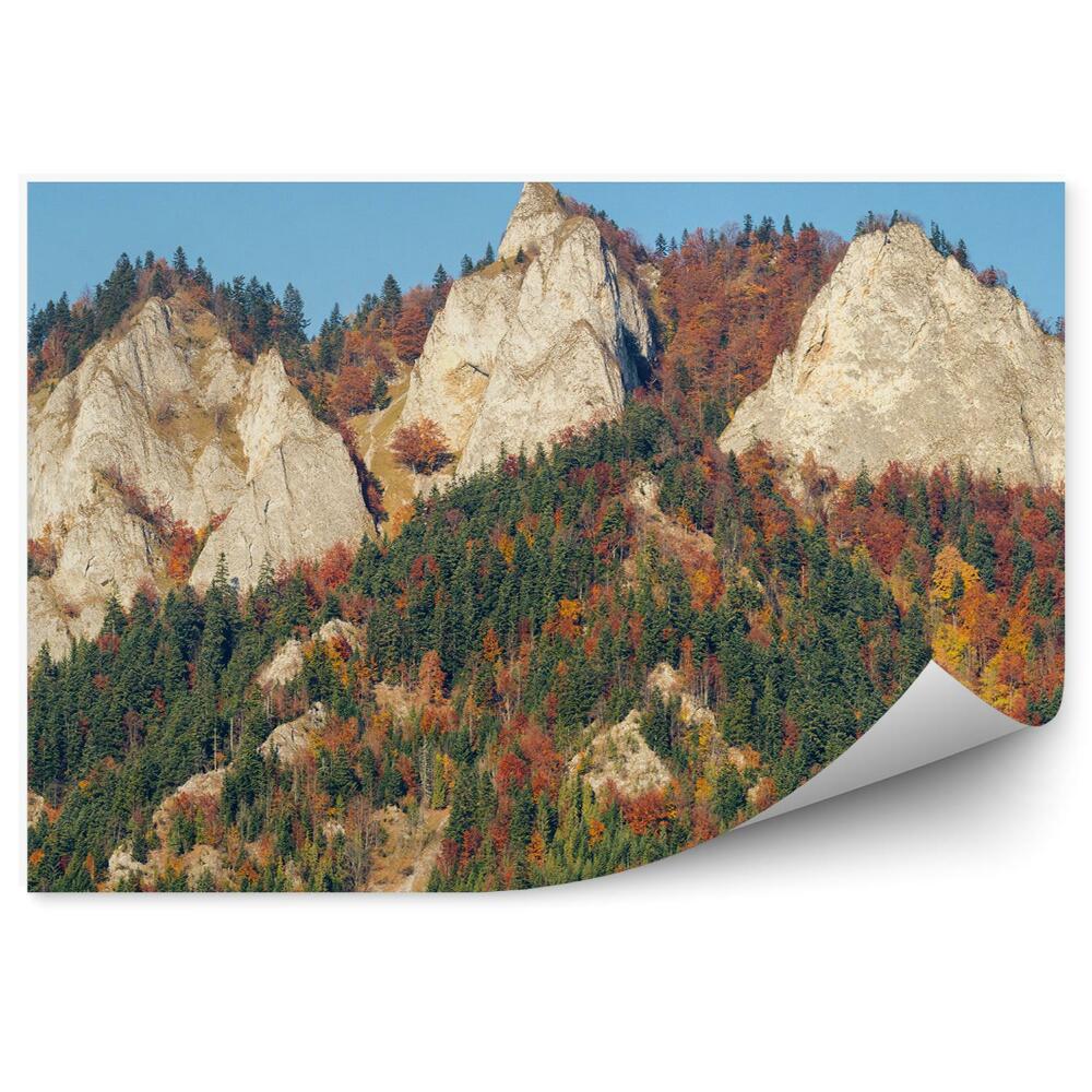Okleina na ścianę Trzy korony szczyt w pieninach jesień panorama