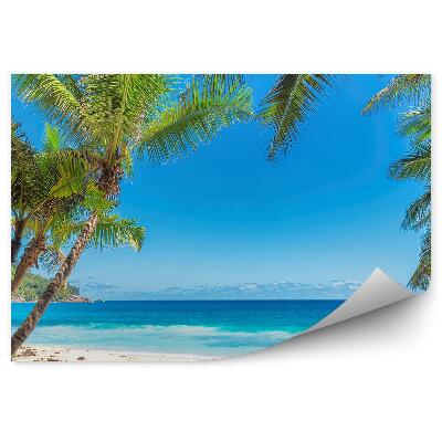 Okleina ścienna Palmy góry rośliny plaża ocean morze niebo chmury