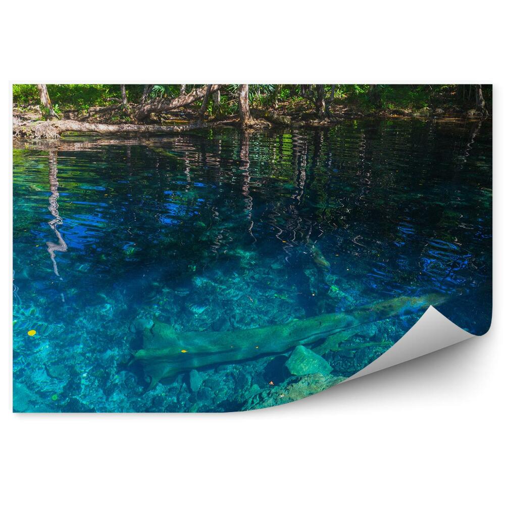 Fototapeta na ścianę Niebieskie jezioro w dzikim lesie tropikalnym