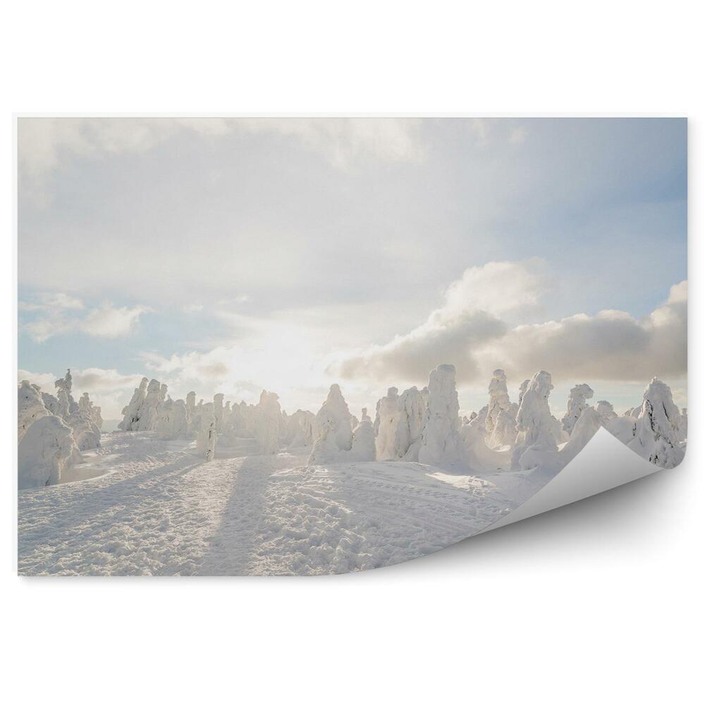 Fototapeta Zima kopuły śniegu zaspy biały krajobraz