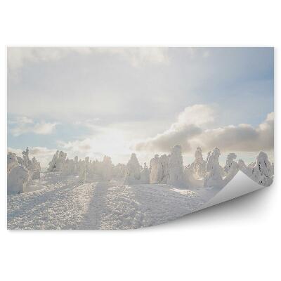 Fototapeta Zima kopuły śniegu zaspy biały krajobraz