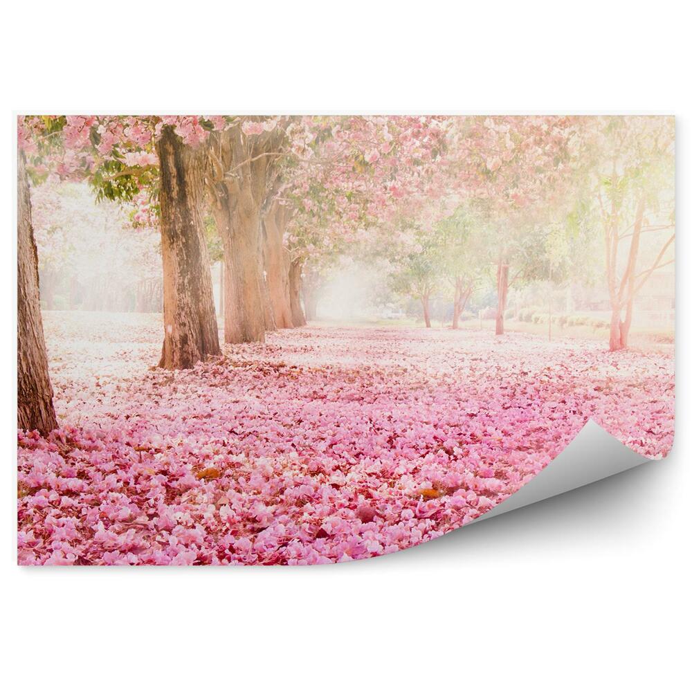 Fotopeta Natura drzewa kwiaty romantyczne różowe