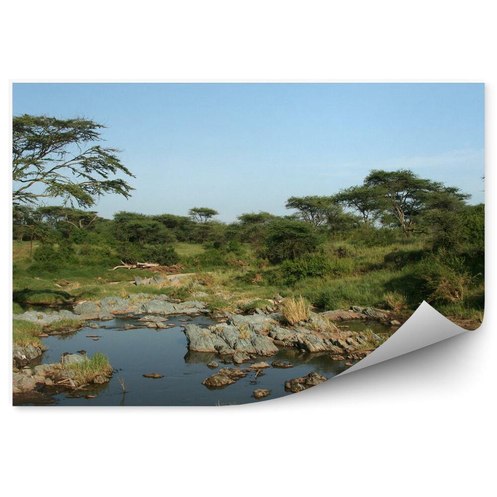 Okleina na ścianę drzewa natura kamienie rzeka niebo Tanzania Afryka