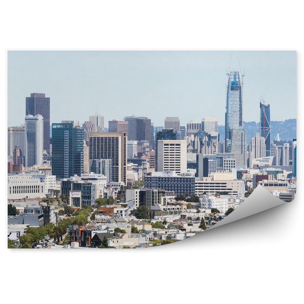 Okleina ścienna wieżowce miasto San Francisco rośliny