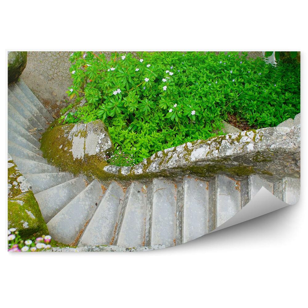 Fototapeta samoprzylepna Kamienne schody w ogrodzie zielone krzewy kolorowe kwiatki