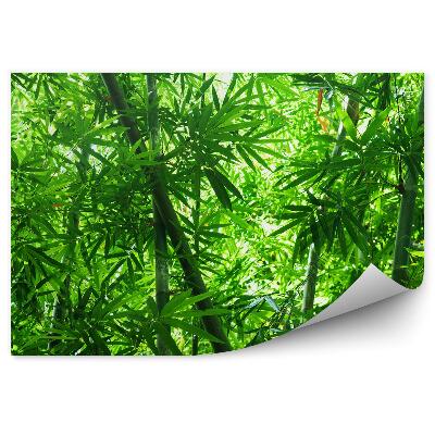 Okleina ścienna Drzewa las bambusowy liście zieleń