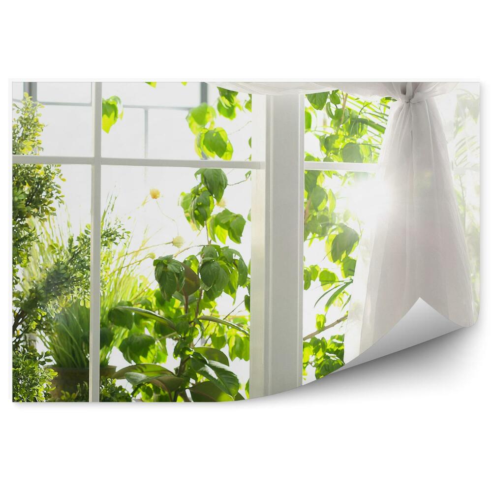 Fototapeta na ścianę Okno z widokiem na zieleń rośliny