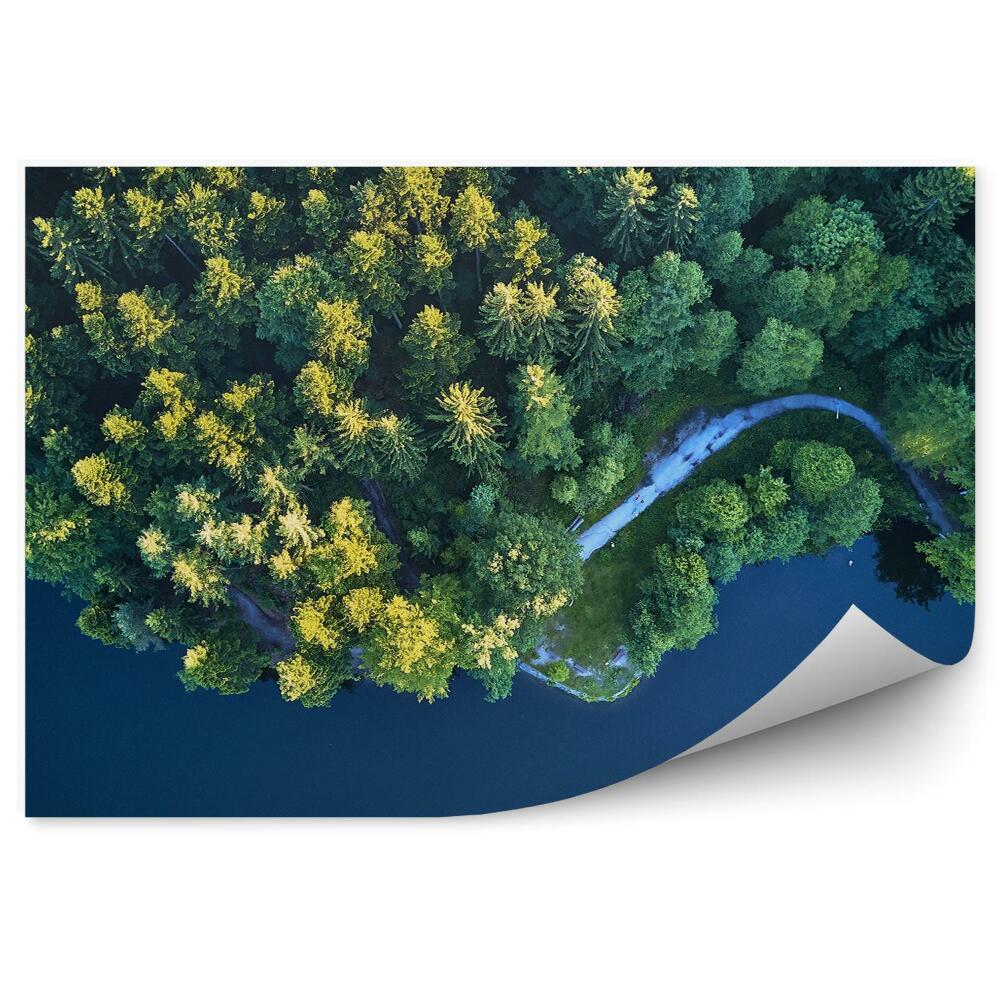 Fototapeta na ścianę Widok z góry na jezioro i las