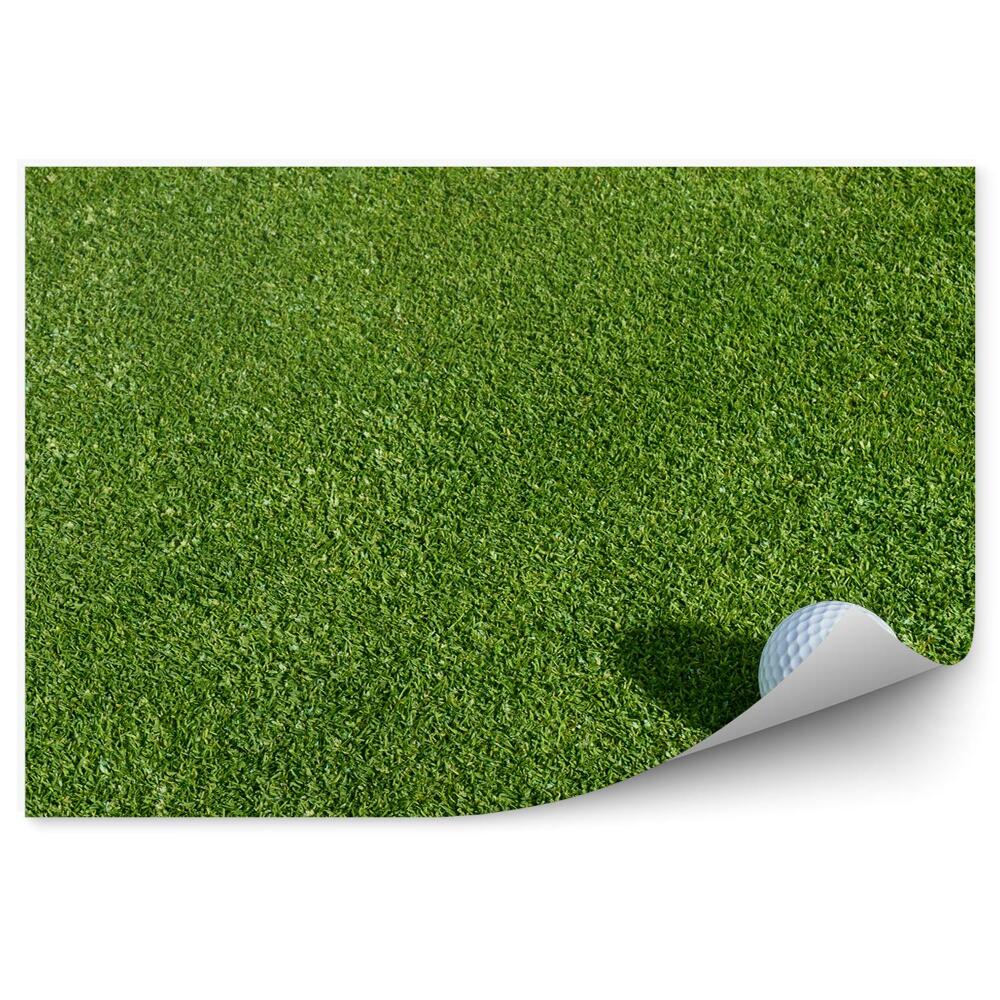 Fototapeta samoprzylepna Trawa piłka golfowa
