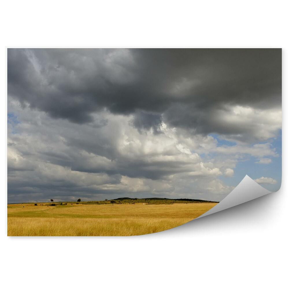 Okleina na ścianę krajobraz sawanny niebo chmury
