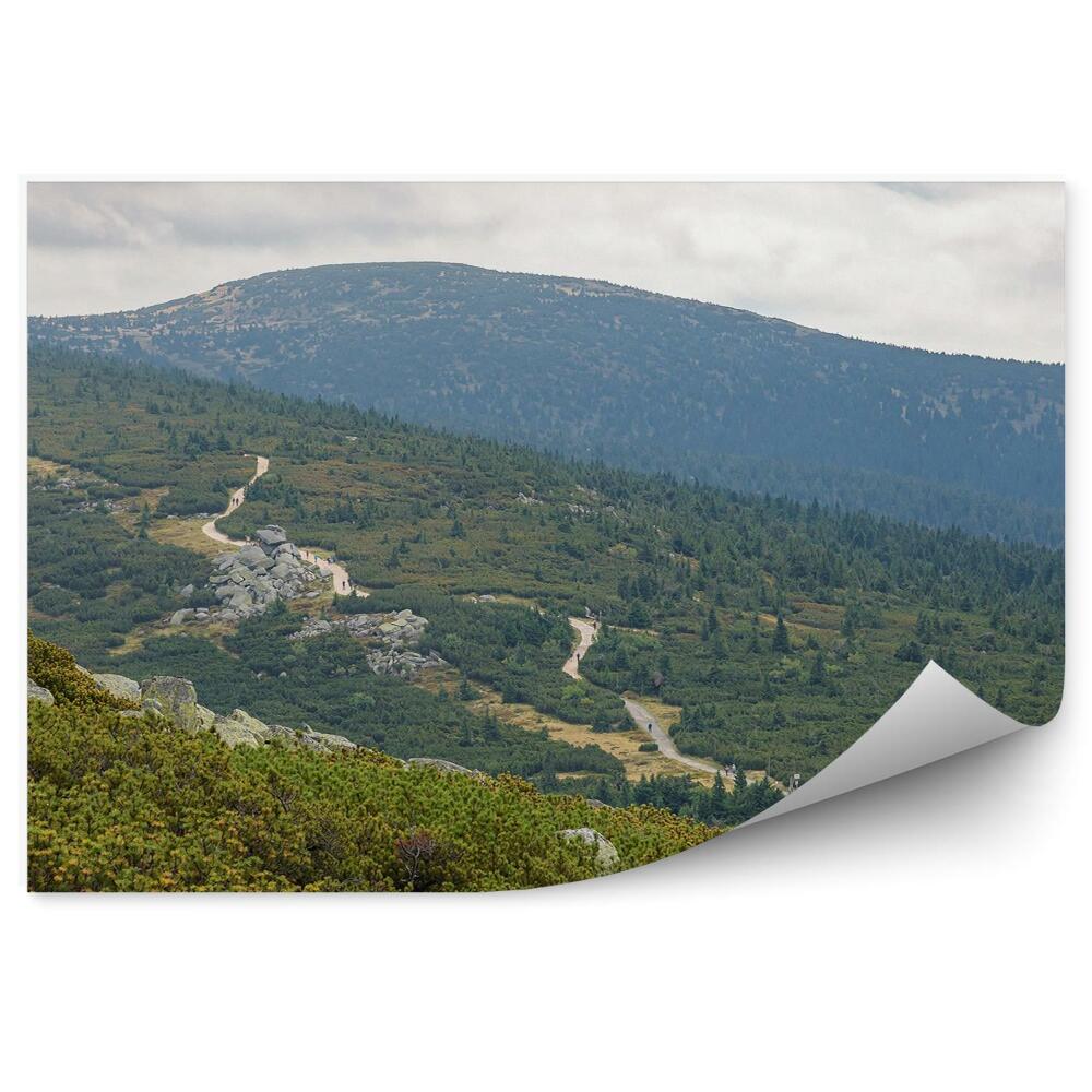 Fototapeta Góry natura zieleń szlak w karkonoszach