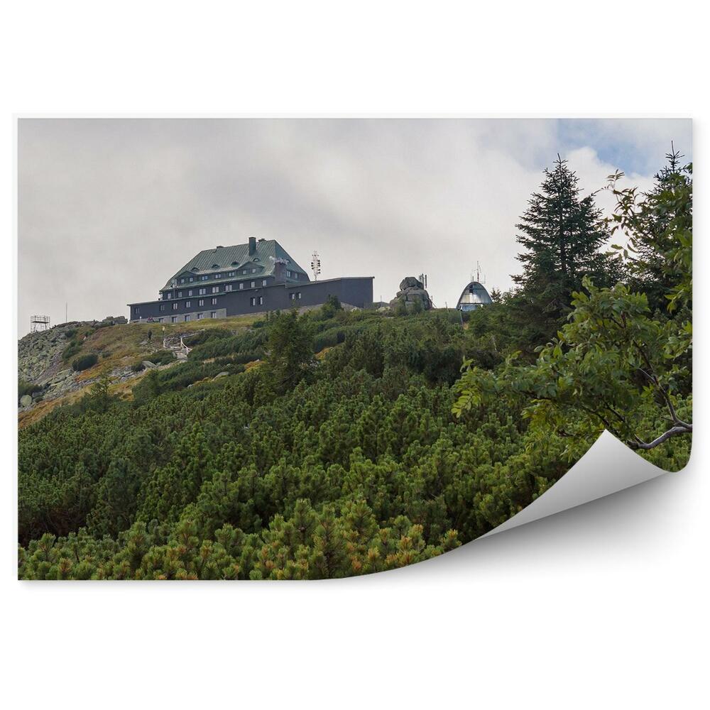 Fototapeta Zielony las budynek na szczycie góry