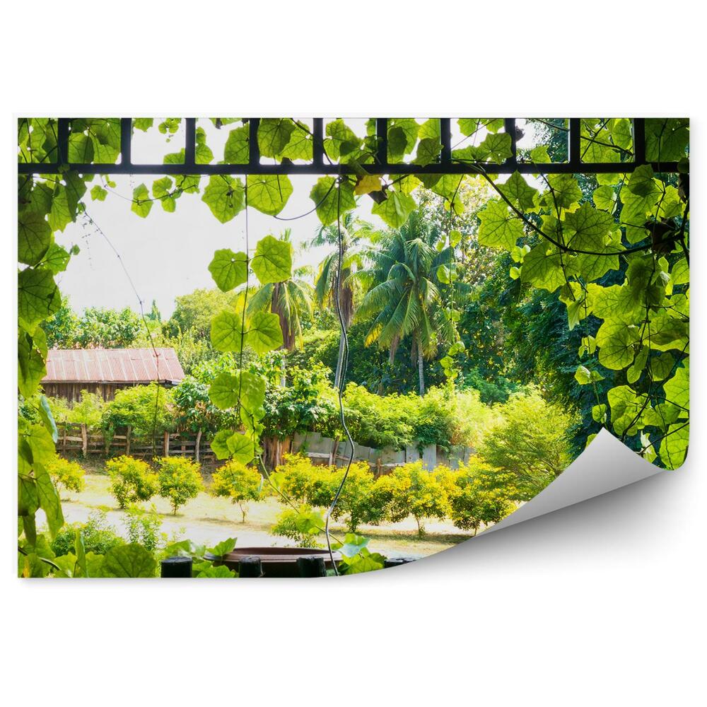 Fototapeta na ścianę Okno porośnięte zielenią rośliny natury